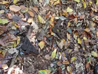 IMG_20151011_100540.webp