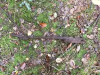 IMG_20151011_114406.webp