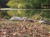 IMG_2133.webp