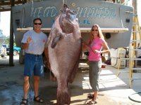 goliath grouper big fishes huge world record largest IGFA gigante pesce biggest fish  enorme gig.jpg