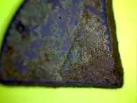 cut cent 1.webp