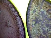 cut cent 11.webp