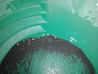 20151024_182105.webp