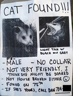 50060d1307456892t-lost-cat-possum_poster-1-.jpg