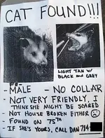 50060d1307456892t-lost-cat-possum_poster-1-.webp