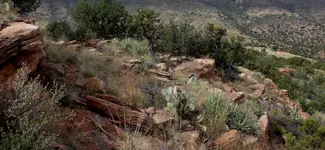 High Desert_web.webp