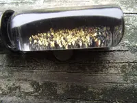DSCF0270.webp