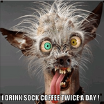 Drink sock coffee twice a day.png