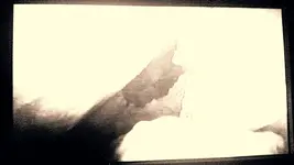 IMAG0155-1-1-1-1-1-1.webp IMAG0155-1-1-1-1-1-1.webp