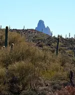 8496230689_a2f5b88270_z.webp