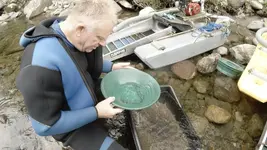 G0055248.webp G0055248.webp