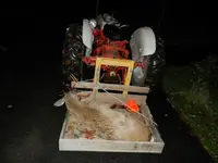 DSCN0661.webp