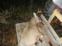 DSCN0657.webp