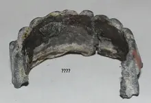 unknown item 1.webp