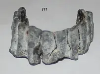 unknown item 2.webp