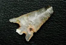 DSCN3156.webp