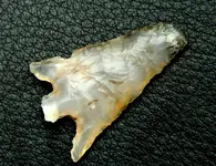 DSCN3149.webp
