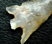 DSCN3151.webp