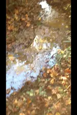 ImageUploadedByTreasureNet.com1445379770.309687.webp ImageUploadedByTreasureNet.com1445379770.309687.webp
