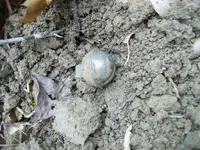 100_3806.webp