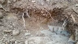 1445827485662.webp