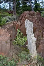010.webp