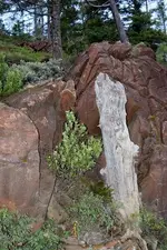 010 (427x640).webp