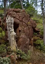 011 (449x640).webp