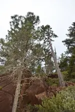 016 (427x640).webp