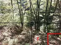 20151025_151231_4_bestshot.webp