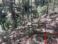 20151025_151307_8_bestshot.webp