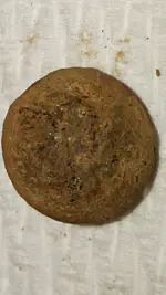 20151031_170301.webp