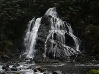 DSC00290.webp