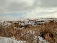 winter nov 2015 1a.webp