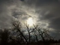 winter nov 2015 3.webp