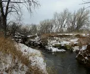 winter nov 2015.webp