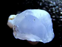 DSCF0145.webp