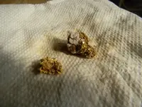 DSCN0400.webp