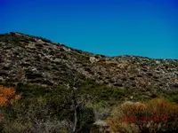 DSCN6775 (1)darknlines.webp