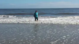 warm water.webp warm water.webp
