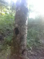 1450243306276.webp