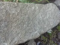 1450243353986.webp