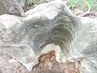 DSCF6263.webp