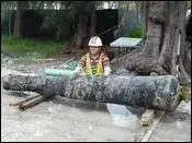 cannon Miami Beach.webp