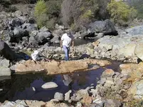 gold mining oct 07 018.webp