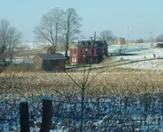 mudhouse5.webp