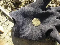 PA270088.webp