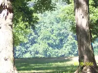 100_1005 (Small).webp