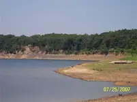 100_1019 (Small).webp