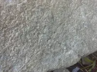1450243395405.webp